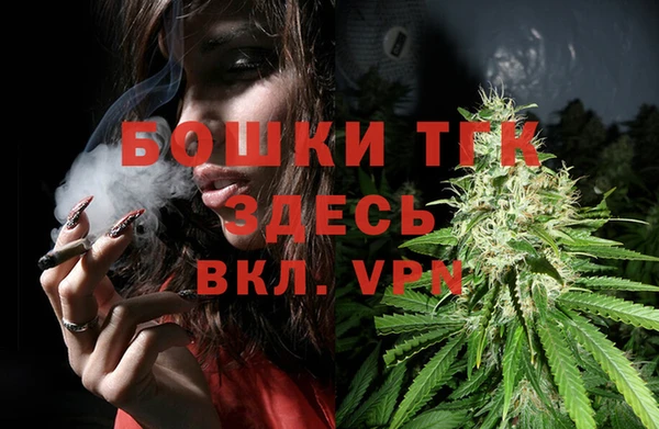 молекула духа Горняк
