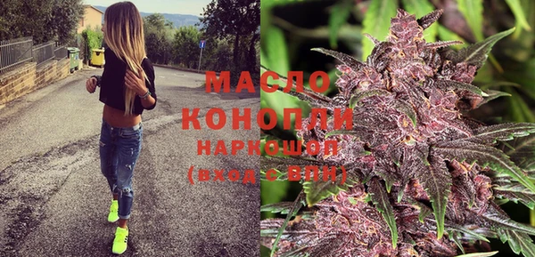 молекула духа Горняк