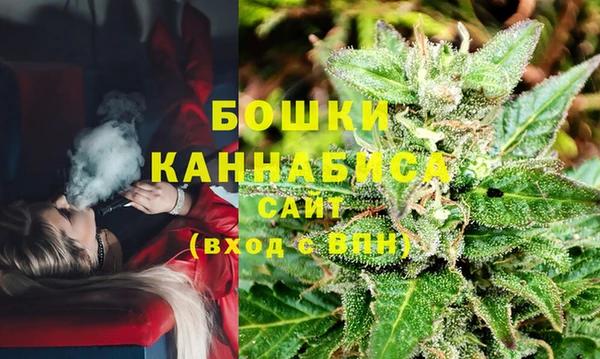 молекула духа Горняк