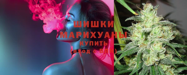 молекула духа Горняк