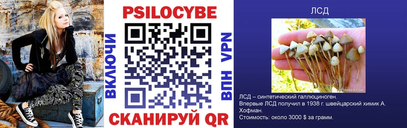 Псилоцибиновые грибы Magic Shrooms  Павловская 